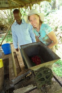 Removing the red skins from the fresh coffee beans on the coffee plantation tour.