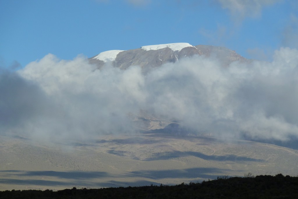 Our first glimpse of Kilimanjaro's summit.
