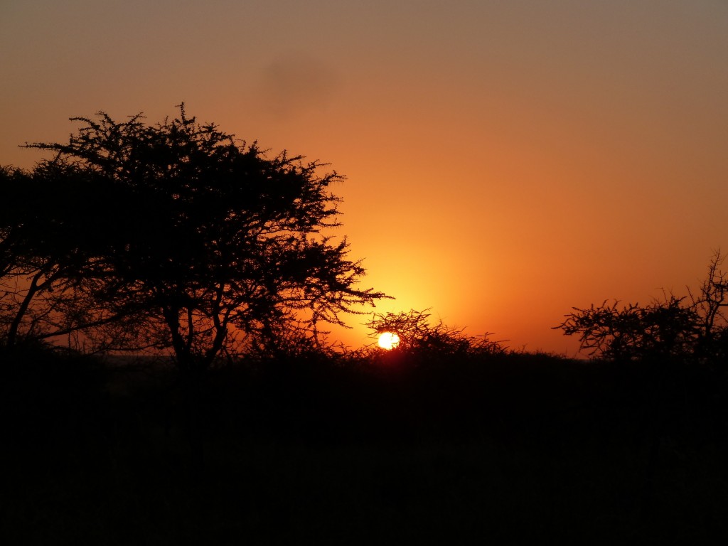 Sunset at Kati Kati camp.