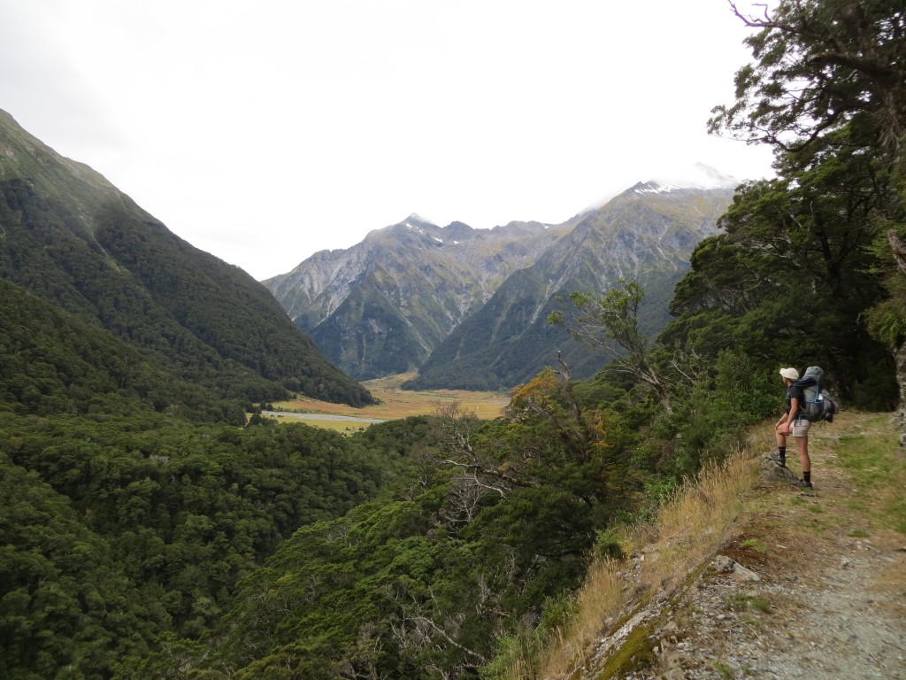 A typical view along the trail in Mt. Aspiring National Park.