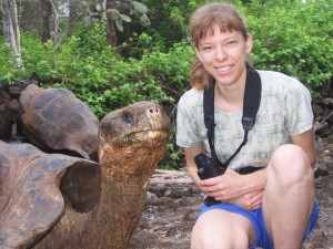 Galapagos Tortoise