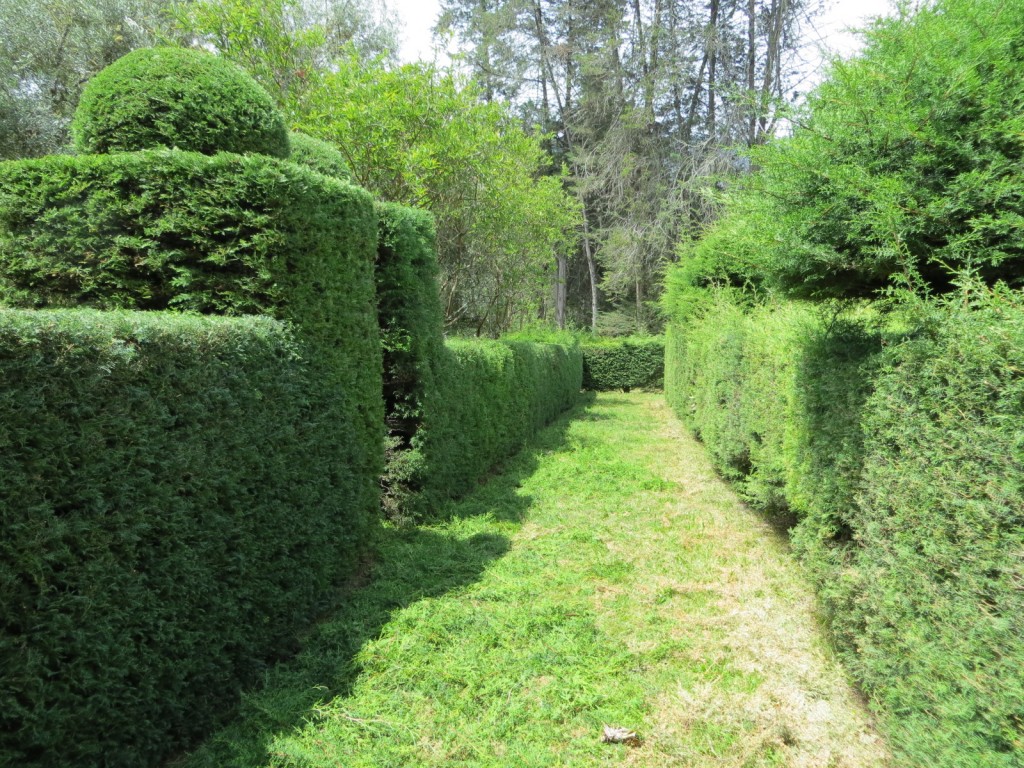 The maze in the botanical garden.