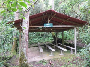 Managed by the university, this park has several outdoor classrooms. I'd study there!