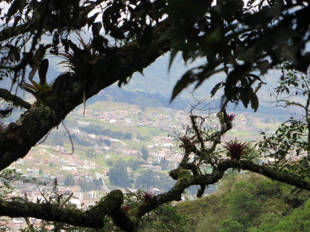 Loja, viewed through the jungle.