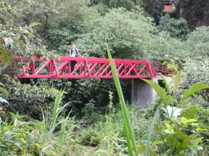 A bridge on the way to the Rumi Wilco reserve.