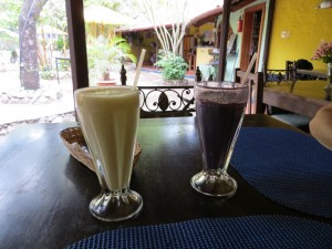 Smoothies at Jardin Escondido Mexican Restaurant.