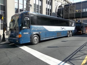 Greyhound Bus
