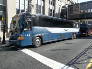 Greyhound Bus