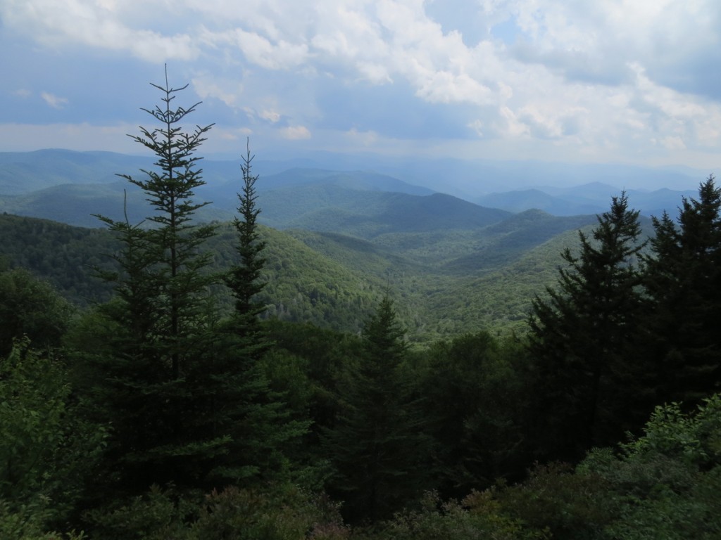 Another view during a hike near the Blue Ridge Parkway.