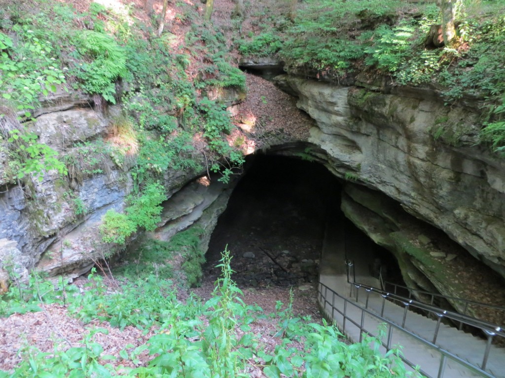 Historic entrance of Mammoth Cave, the longest cave system in the world (over 400 miles have been mapped so far).
