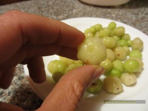 grosella redcurrant