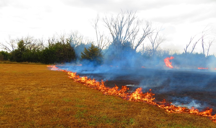 Fire on our property!