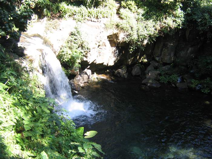 Parque Nacional Uruapan 9