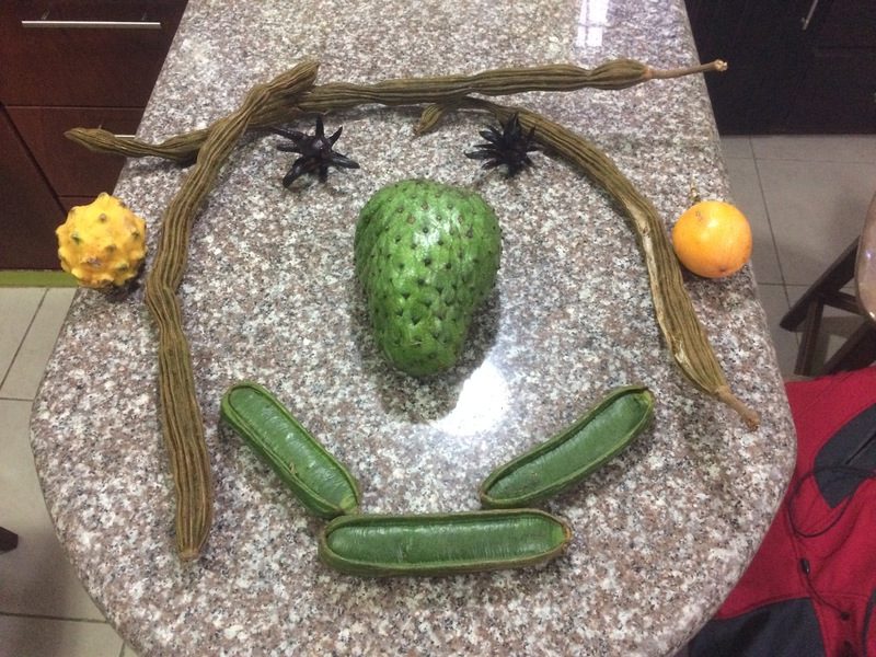 Weird fruits in Loja