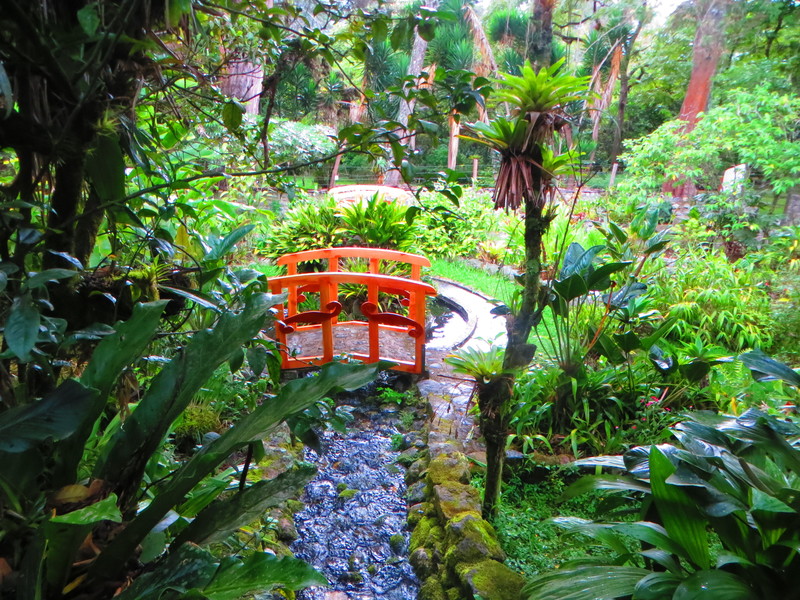 Jardin Botanico Reinaldo Espinosa