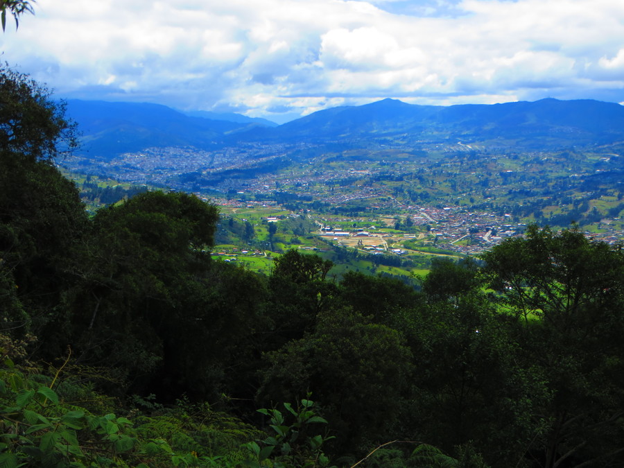 View from Cerro Zañe